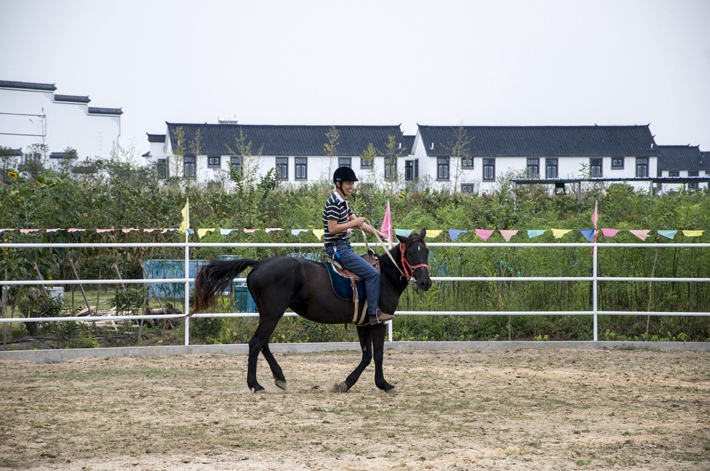 1690861429618679.jpg 12.jpg